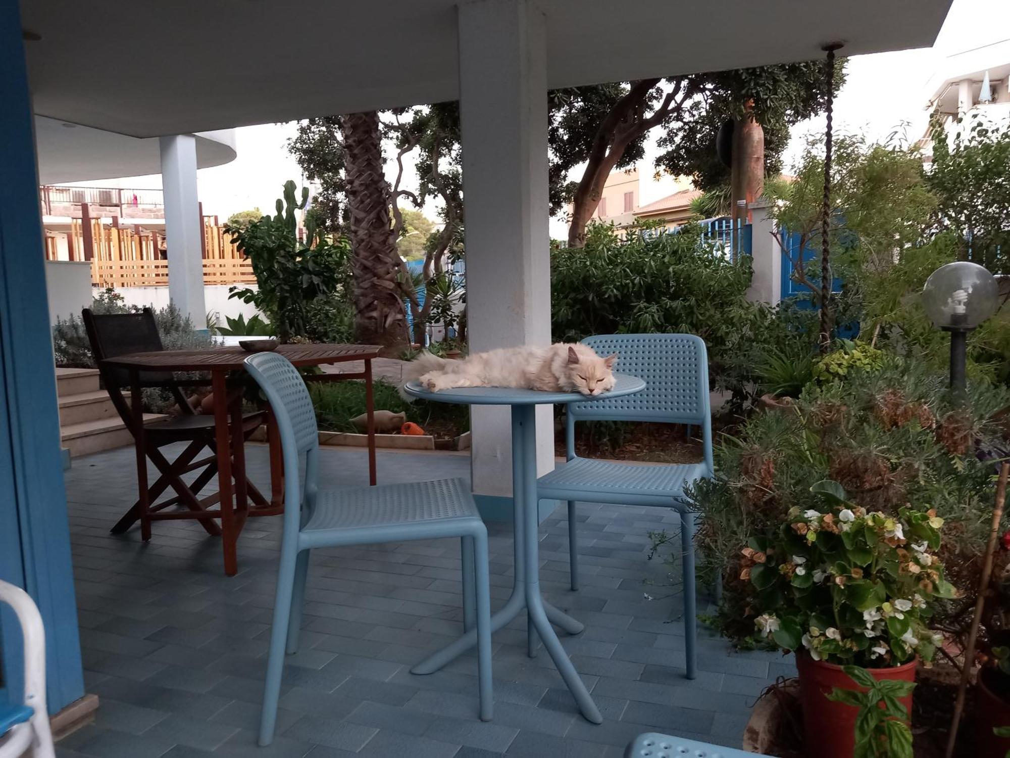 Villa Teodora Alghero Exterior foto
